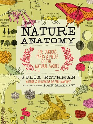 cover image of Nature Anatomy